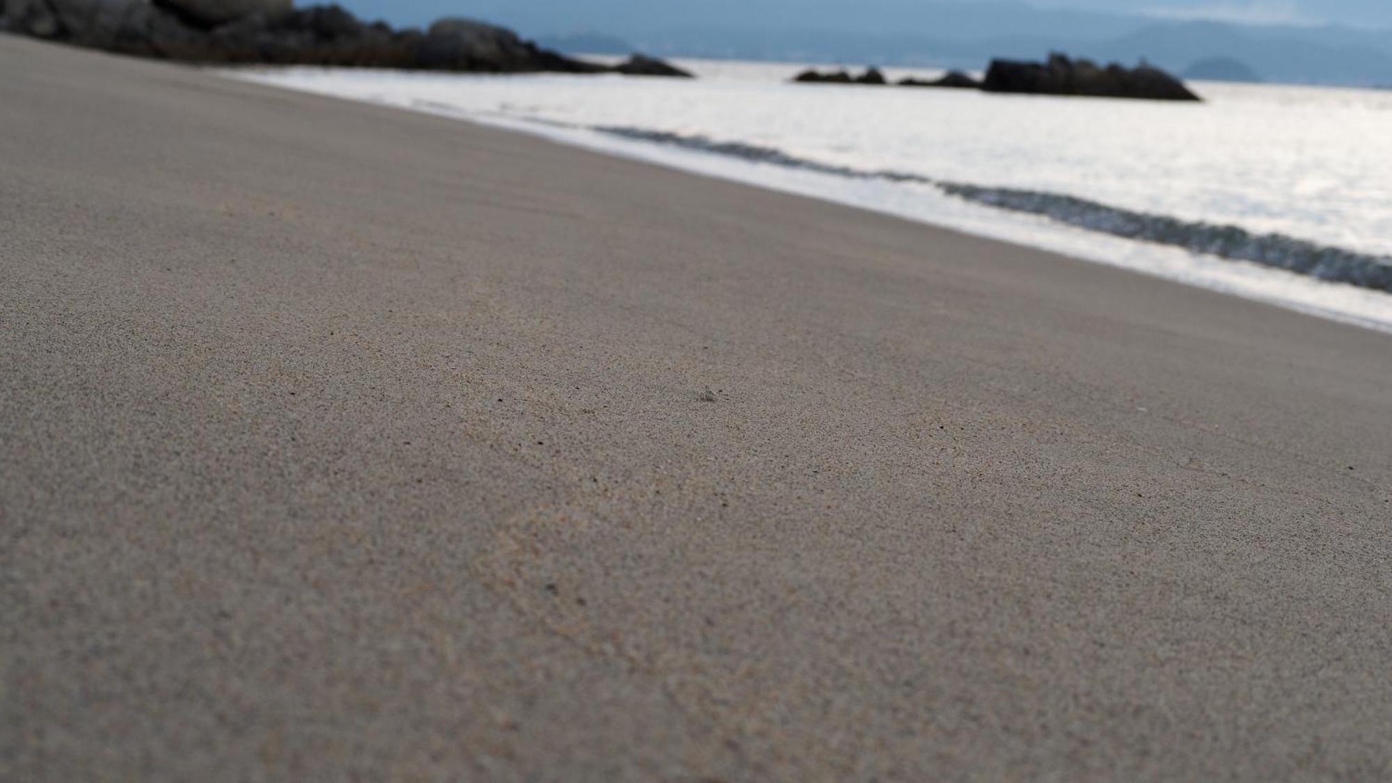 Alfacio Resort Stay Itoshima Luaran gambar